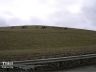 Elk walking over final landfill cover designed and certified by Thiel Engineering in SW Washington