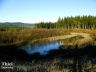 Sedimentation basin at Weyerhaeuser landfill (R. Thiel design engineer for 20 years)